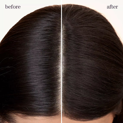 Style + Protect Refresh & Go Dry Shampoo